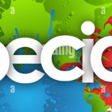 Fundraising Page: Erika Harrison